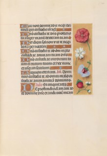 Hours of Queen Isabella the Catholic, Queen of Spain:  Fol. 222r, c. 1495-1500. And associates