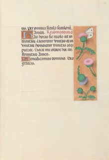 Hours of Queen Isabella the Catholic, Queen of Spain:  Fol. 23r, c. 1495-1500. And associates