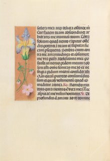 Hours of Queen Isabella the Catholic, Queen of Spain:  Fol. 237v, c. 1500. And associates Master of