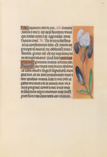 Hours of Queen Isabella the Catholic, Queen of Spain:  Fol. 244r, c. 1500. And associates Master of