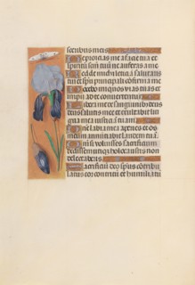 Hours of Queen Isabella the Catholic, Queen of Spain:  Fol. 247v, c. 1500. And associates Master of