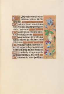 Hours of Queen Isabella the Catholic, Queen of Spain:  Fol. 251r, c. 1495-1500. And associates
