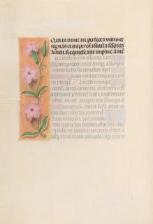 Hours of Queen Isabella the Catholic, Queen of Spain:  Fol. 256v, Virgin and Child, c. 1495-1500.