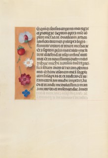 Hours of Queen Isabella the Catholic, Queen of Spain:  Fol. 260v, Pieta, c. 1500. And associates
