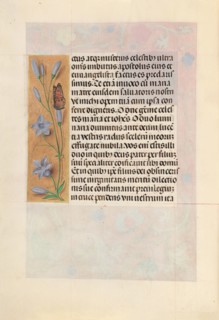 Hours of Queen Isabella the Catholic, Queen of Spain:  Fol. 262v, c. 1495-1500. And associates