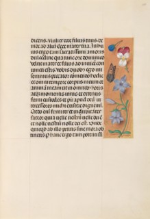 Hours of Queen Isabella the Catholic, Queen of Spain:  Fol. 263r, c. 1500. And associates Master of
