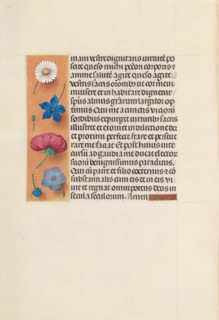 Hours of Queen Isabella the Catholic, Queen of Spain:  Fol. 263v, Mass of St. Gregory, c. 1500. And