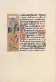 Hours of Queen Isabella the Catholic, Queen of Spain:  Fol. 45v, c. 1495-1500. And associates