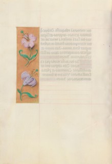 Hours of Queen Isabella the Catholic, Queen of Spain:  Fol. 49v, c. 1500. And associates Master of