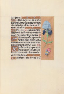 Hours of Queen Isabella the Catholic, Queen of Spain:  Fol. 58r, c. 1500. And associates Master of