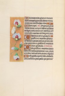 Hours of Queen Isabella the Catholic, Queen of Spain:  Fol. 74v, c. 1500. And associates Master of