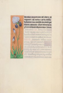 Hours of Queen Isabella the Catholic, Queen of Spain:  Fol. 79v, c. 1500. And associates Master of