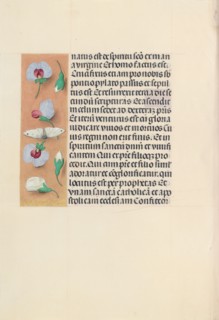 Hours of Queen Isabella the Catholic, Queen of Spain:  Fol. 91v, c. 1495-1500. And associates