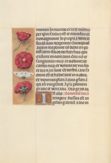 Hours of Queen Isabella the Catholic, Queen of Spain:  Fol. 93v, c. 1495-1500. And associates