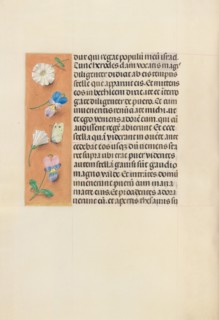 Hours of Queen Isabella the Catholic, Queen of Spain:  Fol. 95v, c. 1495-1500. And associates