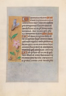 Hours of Queen Isabella the Catholic, Queen of Spain:  Fol. 98v, c. 1500. And associates Master of