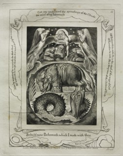The Book of Job:  Pl. 15, Behold now Behemoth which I made with thee, 1825. William Blake (British,