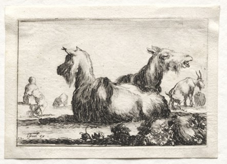 Caprices:  Two Goats. Stefano Della Bella (Italian, 1610-1664). Etching