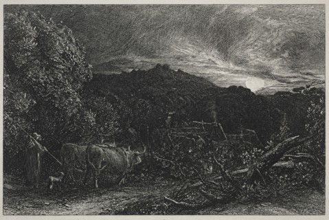 The Weary Plowman, begun 1858. Samuel Palmer (British, 1805-1881). Etching
