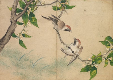 Desk Album: Flower and Bird Paintings (Gossiping Sparrows), 18th Century. Zhang Ruoai (Chinese).