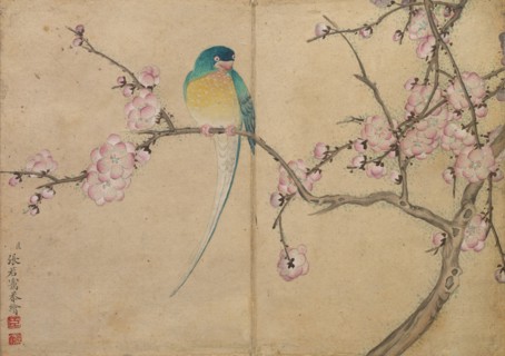 Desk Album: Flower and Bird Paintings (Bird with Plum Blossoms), 18th Century. Zhang Ruoai