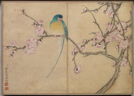 Desk Album: Flower and Bird Paintings (Bird with Plum Blossoms), 18th Century. Zhang Ruoai