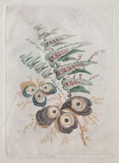 New Suite of Portfolios of Flowers Ideal to Use for Designing and Painting: Floral Fantasies, c.