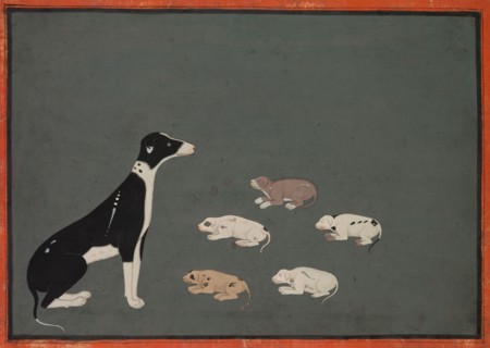Dog with pups, c. 1780. India, Rajasthan, Ajmer, probably Sawar school, 18th century. Ink and