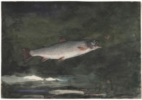 Leaping Trout, 1889. Winslow Homer (American, 1836-1910). Watercolor over graphite; sheet: 35 x 50