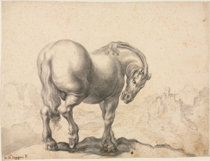 Study of a Stallion, first third 18th century?. Giovanni Battista Foggini (Italian, 1652-1725).