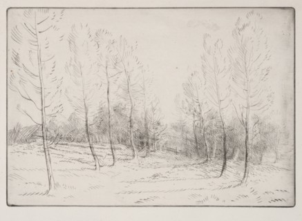 Avenue of Poplars. Alphonse Legros (French, 1837-1911). Drypoint