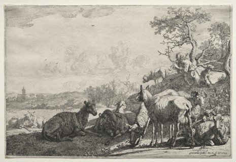 The Shepherd, 1644. Paulus Potter (Dutch, 1625-1654). Etching