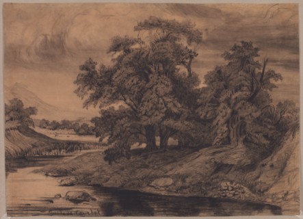 Landscape with Large Trees, late 1860s/early 1870s. Gustave Courbet (French, 1819-1877). Black