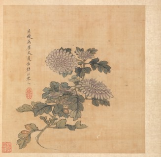 Paintings after Ancient Masters: Chrysanthemum, 1598-1652. Chen Hongshou (Chinese, 1598/99-1652).