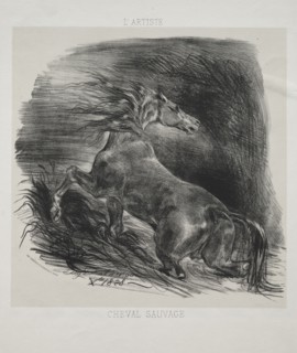 The Wild Horse, or Frightened Horse Leaving the Water, 1828. Eugène Delacroix (French, 1798-1863),