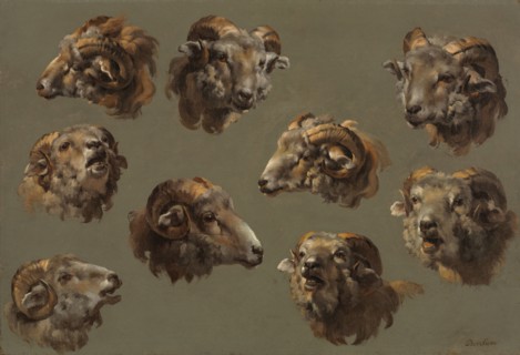 Studies of Ram Heads, 1700s. France, 18th century. Oil on canvas; framed: 44.8 x 58.1 x 7.6 cm (17