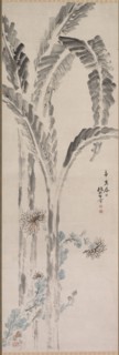 Banana Plant and Chrysanthemum (?), 19th century. Tsubaki Chinzan (Japanese, 1801-1854). Hanging