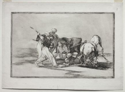 The Moors Settled in Spain, Giving Up the Superstitions of the Koran, Adopted this Art of Hunting,
