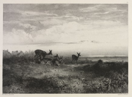 Landscape with Deer, c. 1840. Karl Bodmer (Swiss, 1809-1893). Lithograph