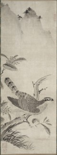 Hawk, mid 1500s. Masayoshi Fujiwara (Japanese). Hanging scroll; ink on paper; painting only: 119.6