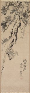 Aged Pine, 1717-1780. Nakayama Koyo (Japanese, 1717-1780). Hanging scroll; ink on paper; image: 89
