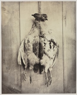 Partridges (recto), c. 1861. Captain N. Baily (British). Albumen print from wet collodion negative;