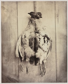 Partridges (recto); L.D. Campbell's Tomb (verso), c. 1861. Captain N. Baily (British), John