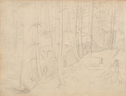 Album with Views of Rome and Surroundings, Landscape Studies, page 01b: Roman Landscape. Franz
