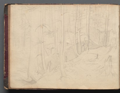 Album with Views of Rome and Surroundings, Landscape Studies, page 01b: Roman Landscape. Franz