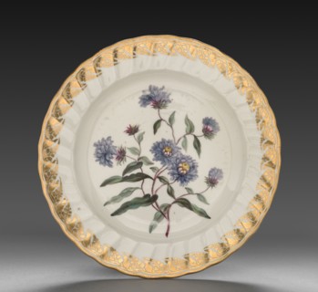 Plate from Dessert Service: Tall Blue Aster, c. 1800. Derby (Crown Derby Period) (British).