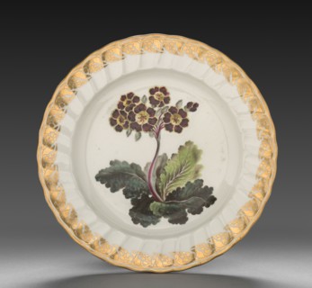 Plate from Dessert Service: Polyanthus, c. 1800. Derby (Crown Derby Period) (British). Porcelain;