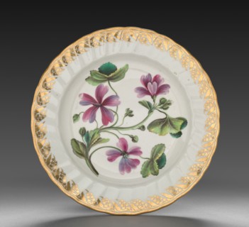 Plate from Dessert Service: Althaea Marsh Mallow, c. 1800. Derby (Crown Derby Period) (British).