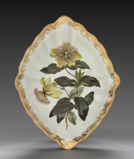 Lozenge Shaped Dish from Dessert Service: Large Flowered St. John's Wort, c. 1800. Derby (Crown