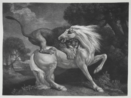 A Horse Attacked by a Lion, 1788. George Stubbs (British, 1724-1806). Etching and engraving